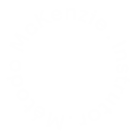 sobre dr vicente hennemann Fisioterapeuta especialista em dor Porto Alegre 01 instrutor metodo mckenzie tag